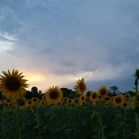 Mas Catala Вилла