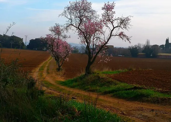 Villa Mas Català Rupiá
