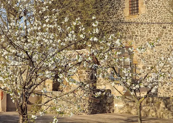 Mas Català Villa Rupiá